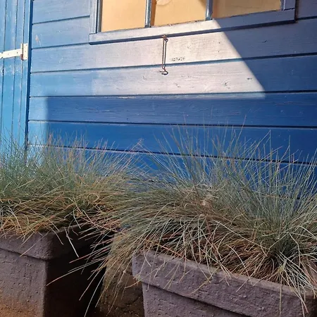 Holiday home Happy House Park Sollasi Noordwijk
