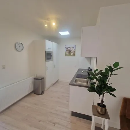 Happy House Park Sollasi Holiday home Noordwijk